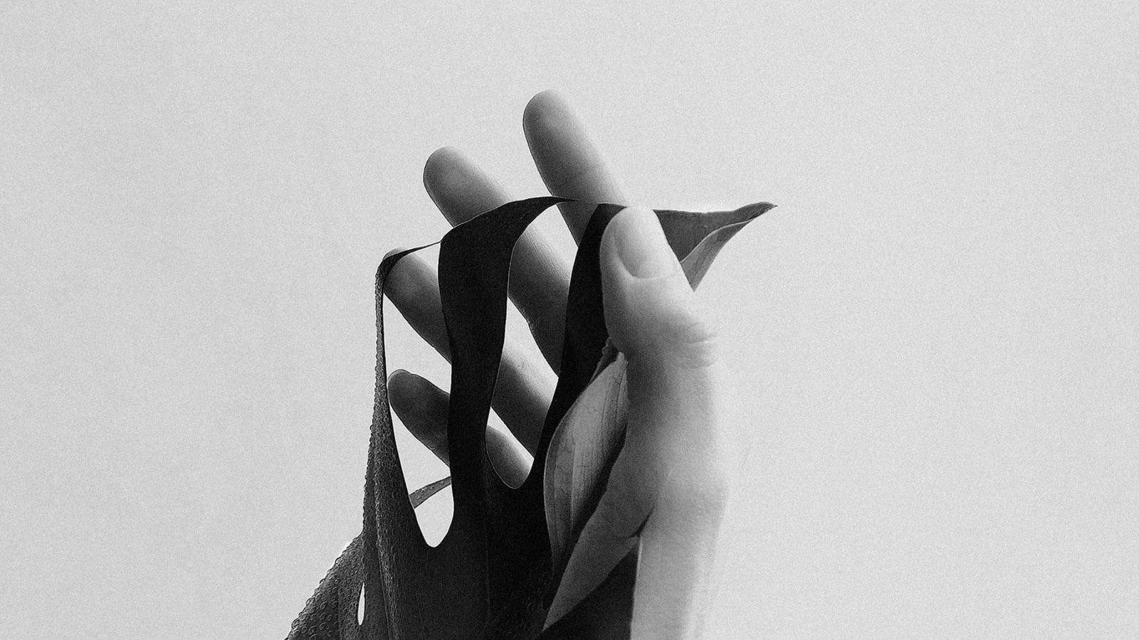 Bella Amore Photography Logo - Light Background