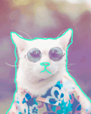 Hipster Dog GIF NFT