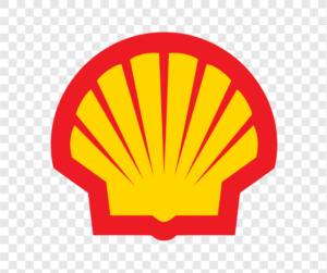 Shell Logo Branding Ashley Bailey Designs